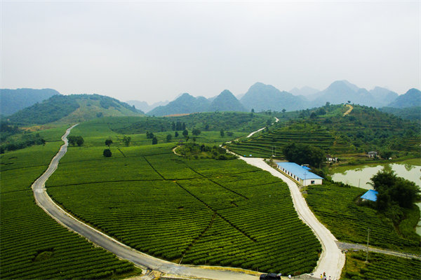 清遠年度經(jīng)營計劃咨詢公司如何助企業(yè)精準(zhǔn)規(guī)劃？