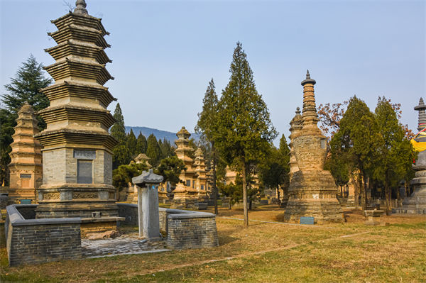 鄭州管理咨詢選不對(duì)，企業(yè)戰(zhàn)略落地的堵點(diǎn)何時(shí)能打通？