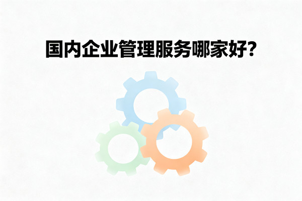 國(guó)內(nèi)企業(yè)管理服務(wù)哪家好？
