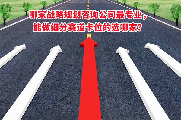 哪家戰(zhàn)略規(guī)劃咨詢公司最專業(yè)，能做細(xì)分賽道卡位的選哪家？